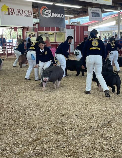 FFA at Kern County Fair