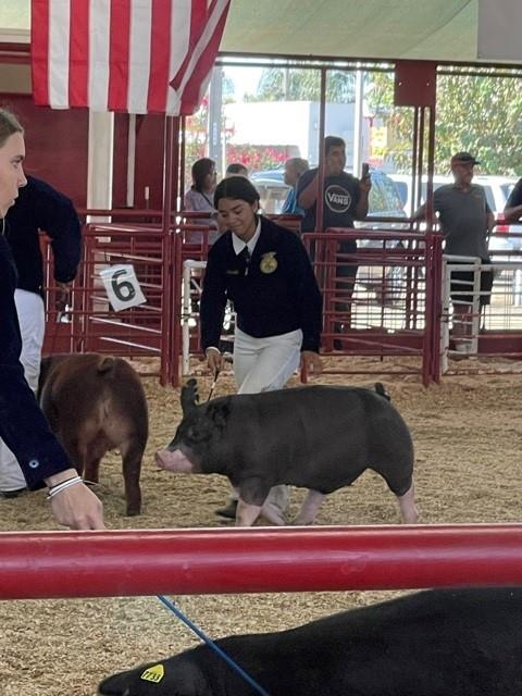 FFA at Kern County Fair