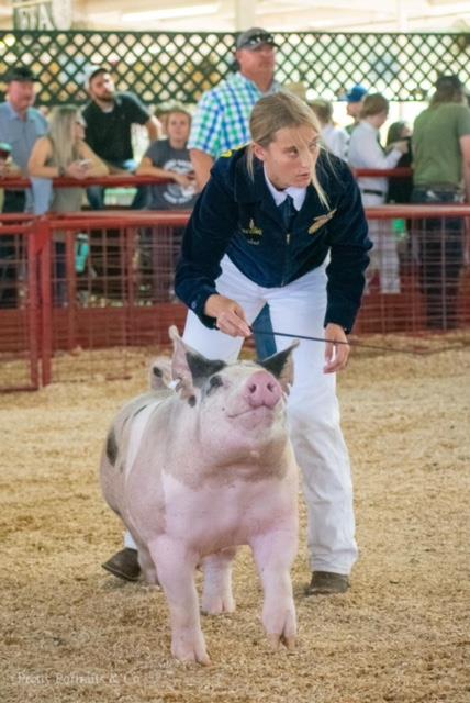 FFA at Kern County Fair